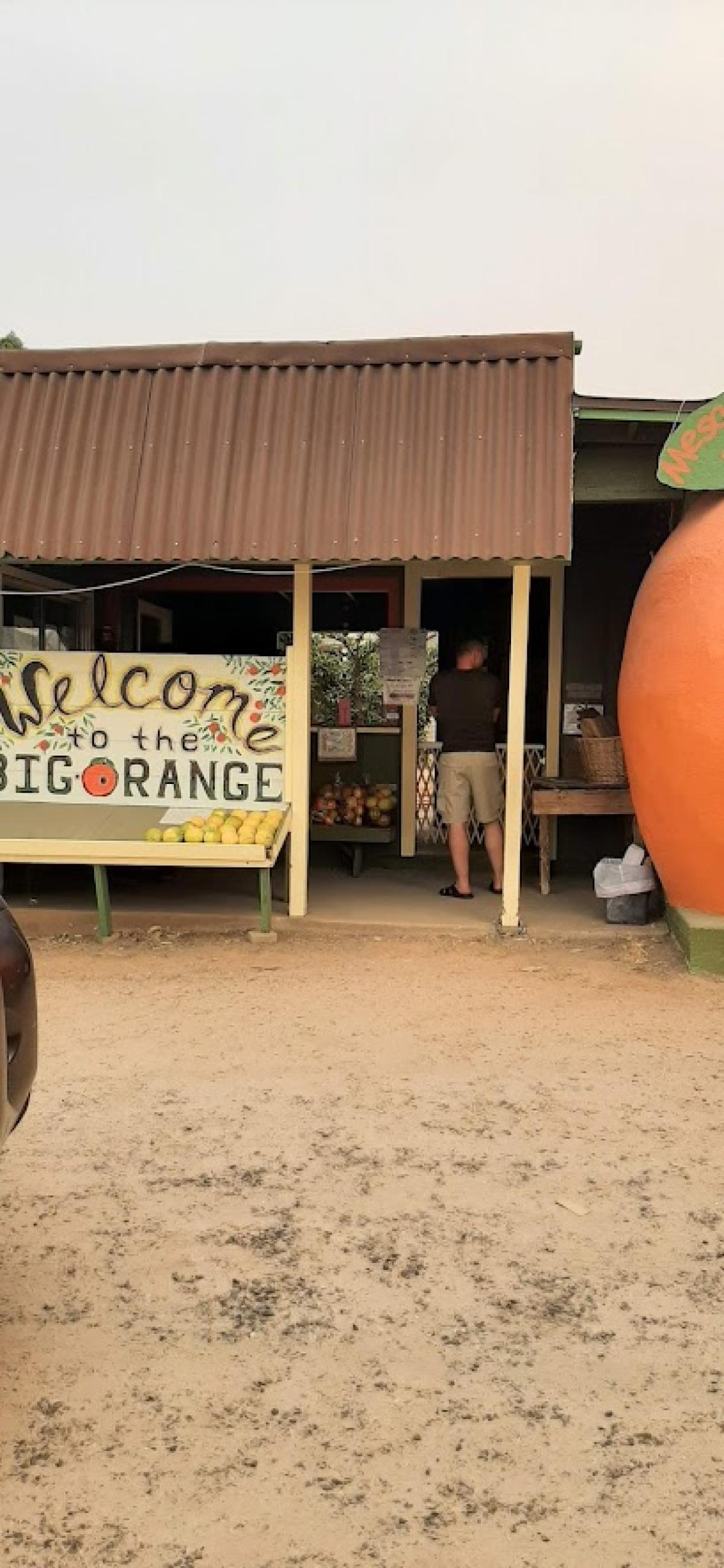 Mesa Verde Ranch - The Big Orange
