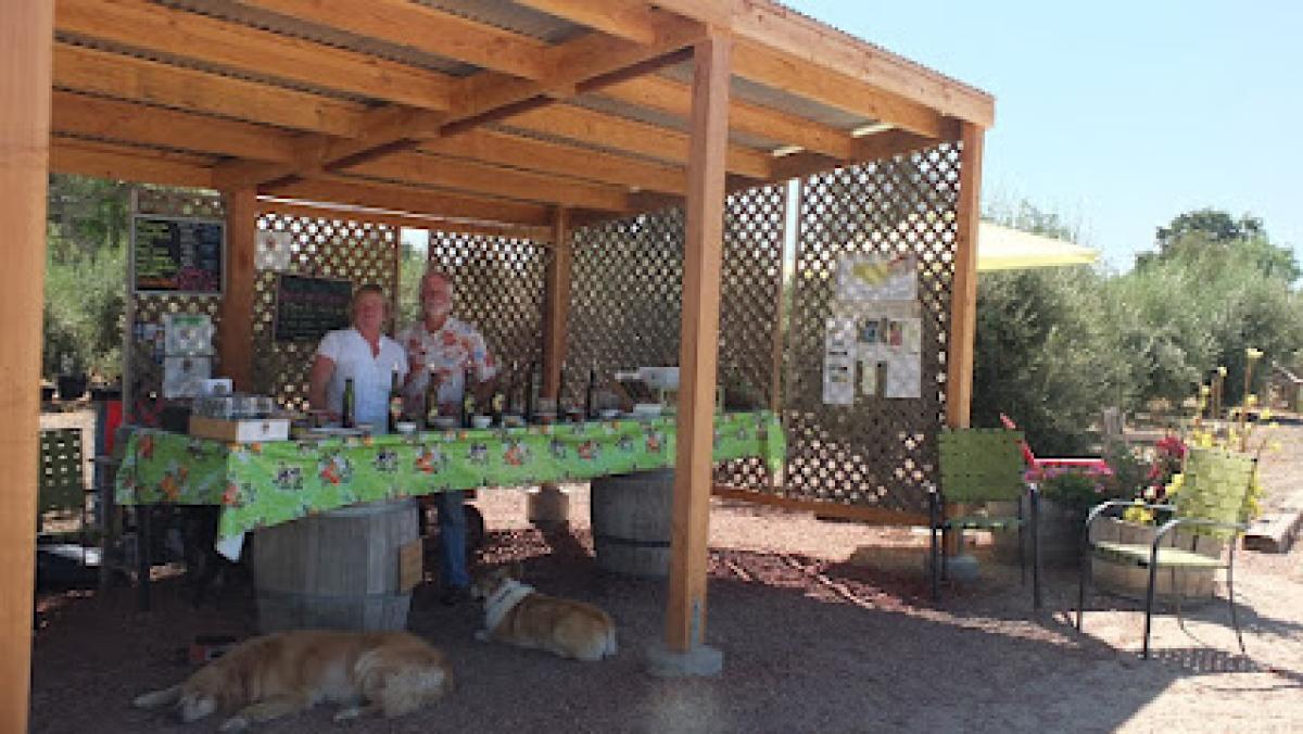 Rancho Olivos Olive Oil