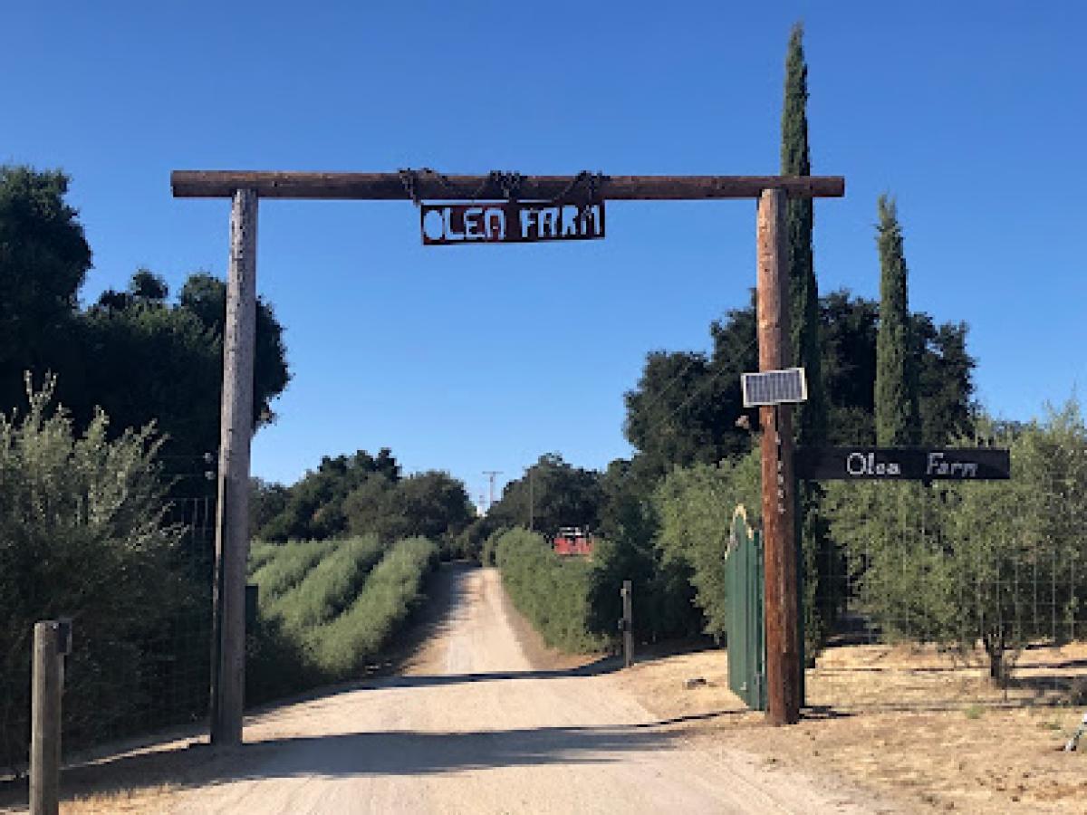 Olea Farm