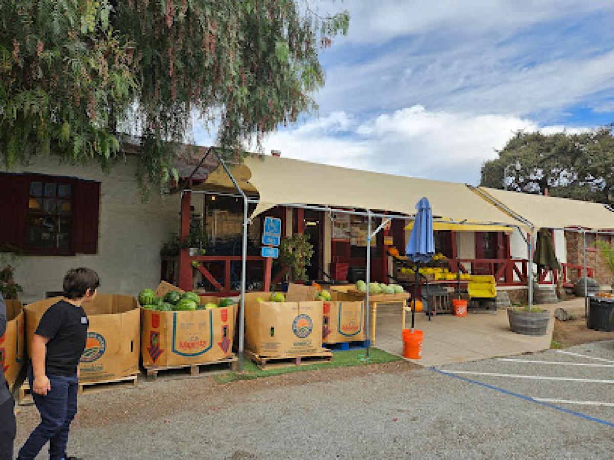 Bell Station Farmers Market/avocado