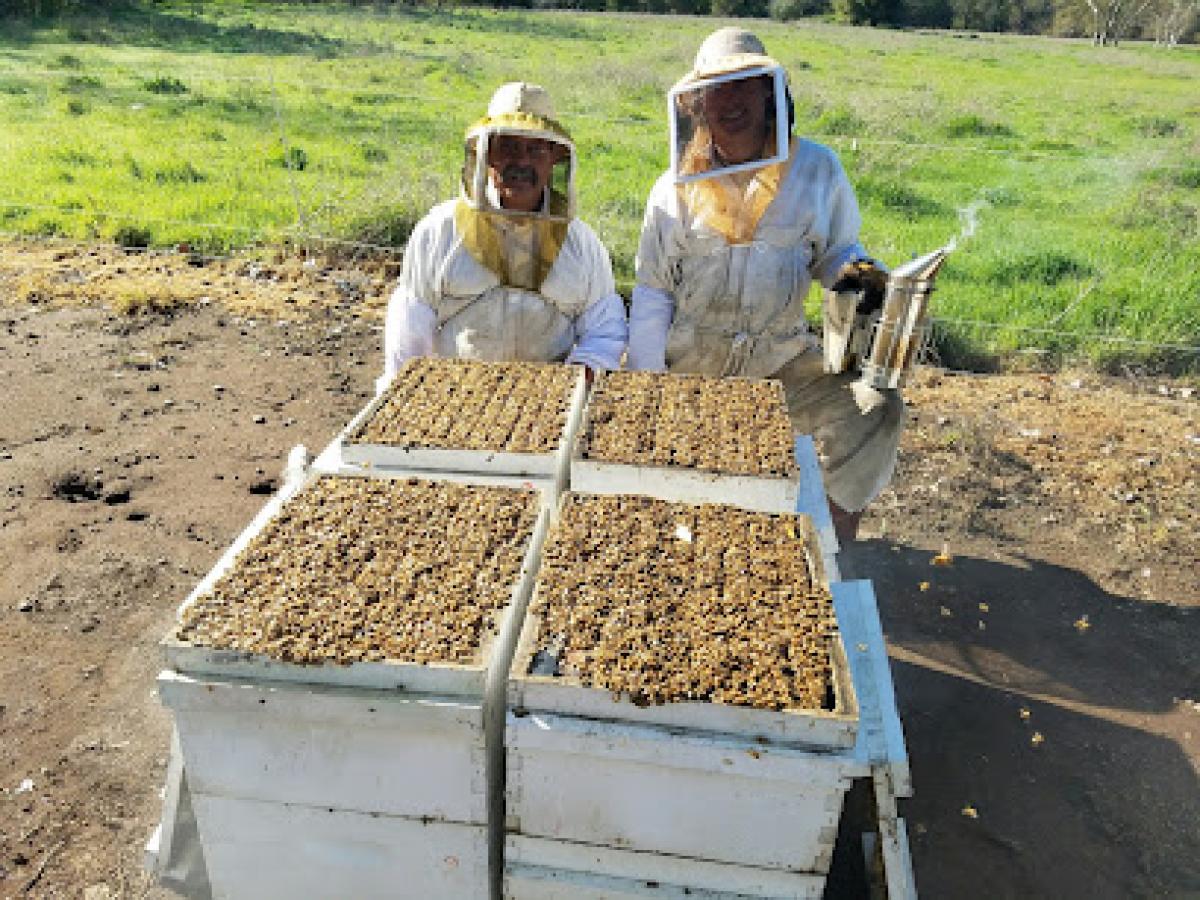 Can Am Apiaries Inc.