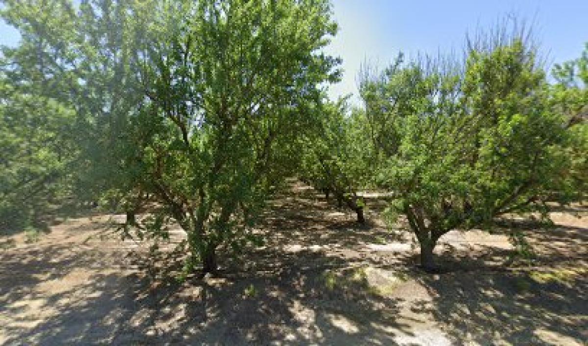 Orin Johnson Apiaries