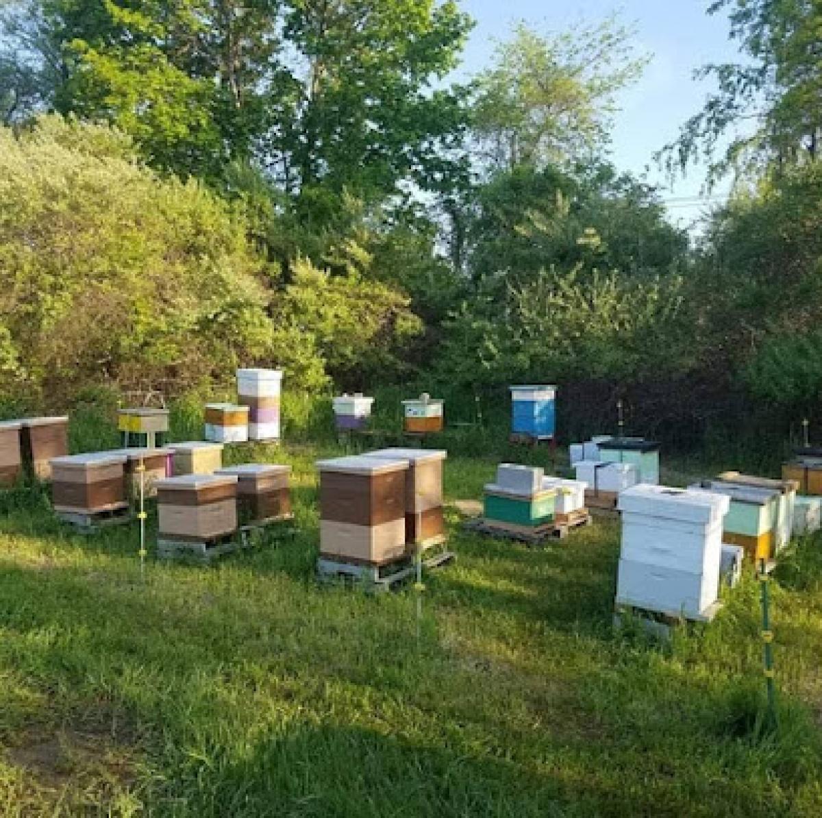 Honeybound Apiary