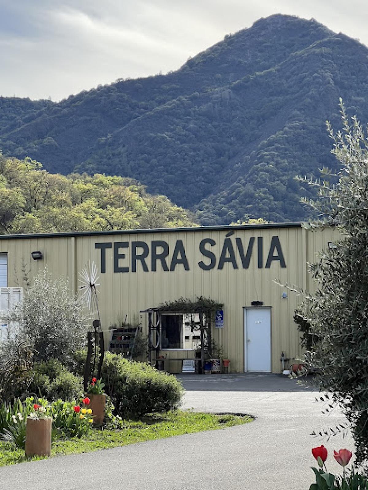 Terra Sávia Organic Winery & Olive Mill