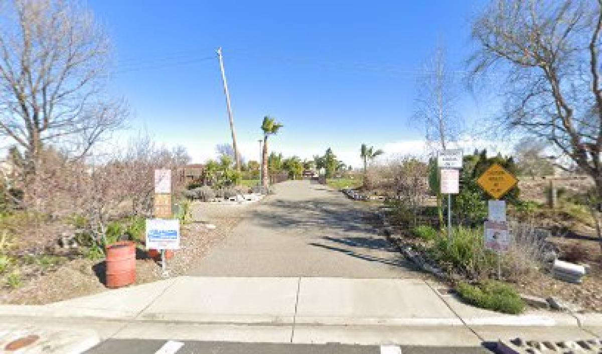 Bridgeway Garden Honey