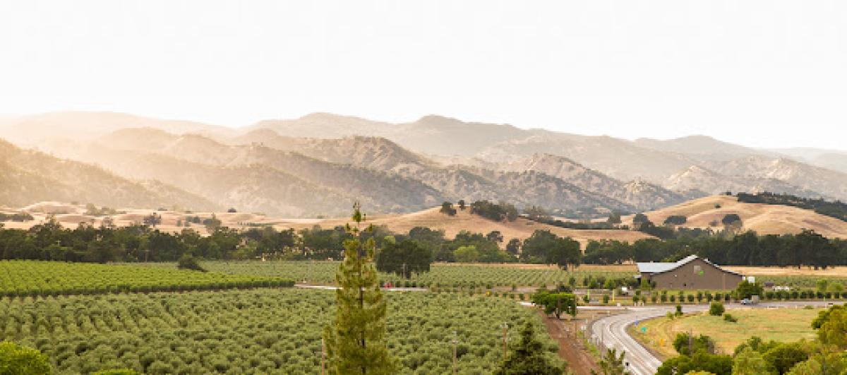 Séka Hills Olive Mill and Tasting Room