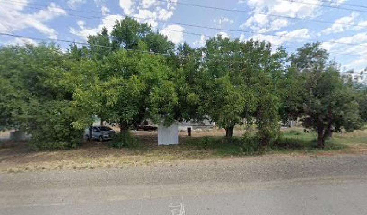 Mountain Blossom Bees