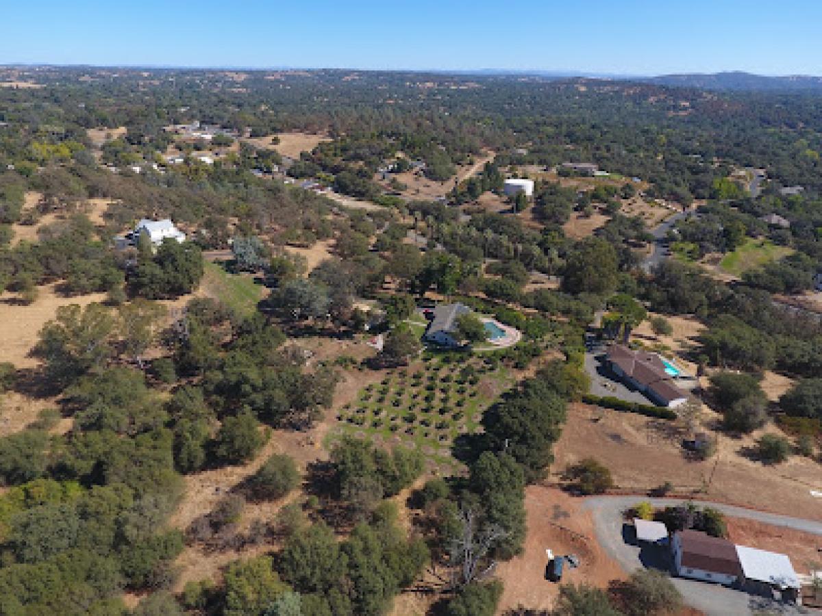 Colwell Thundering Herd Ranch