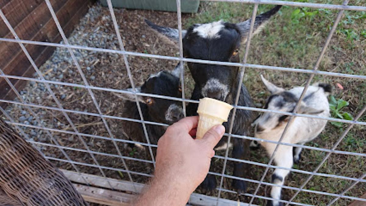 Martynse Family Farm