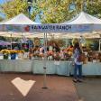 Davis Farmers Market