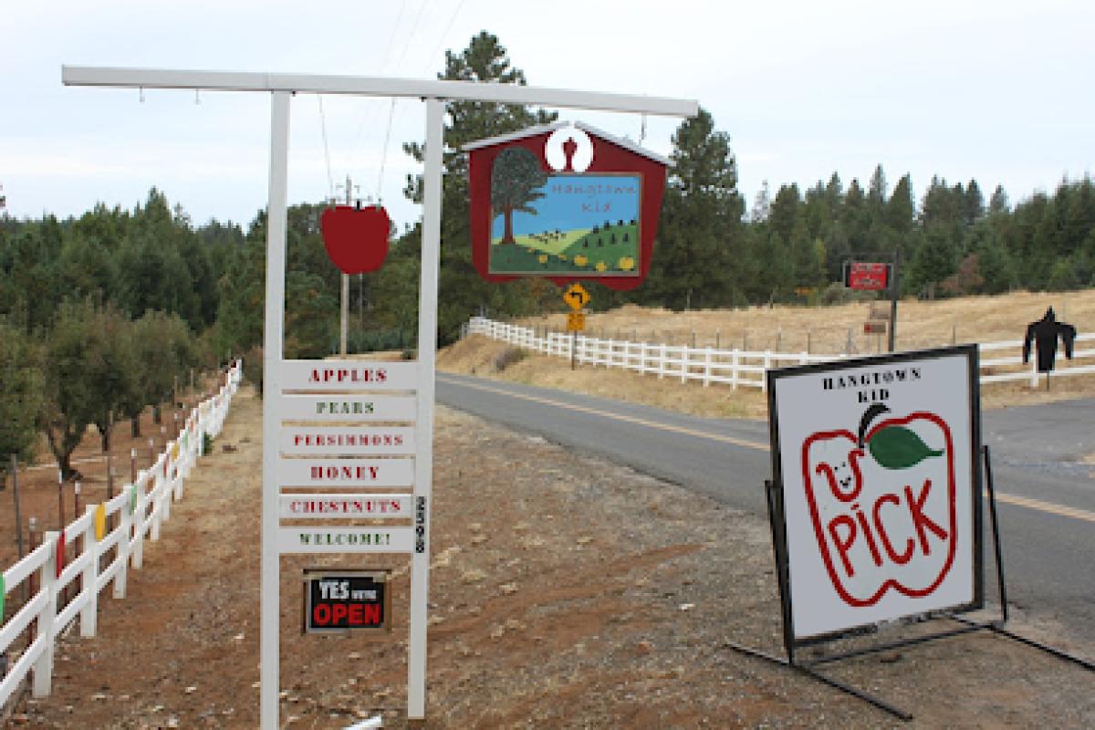 Hangtown Kid Apple Orchards