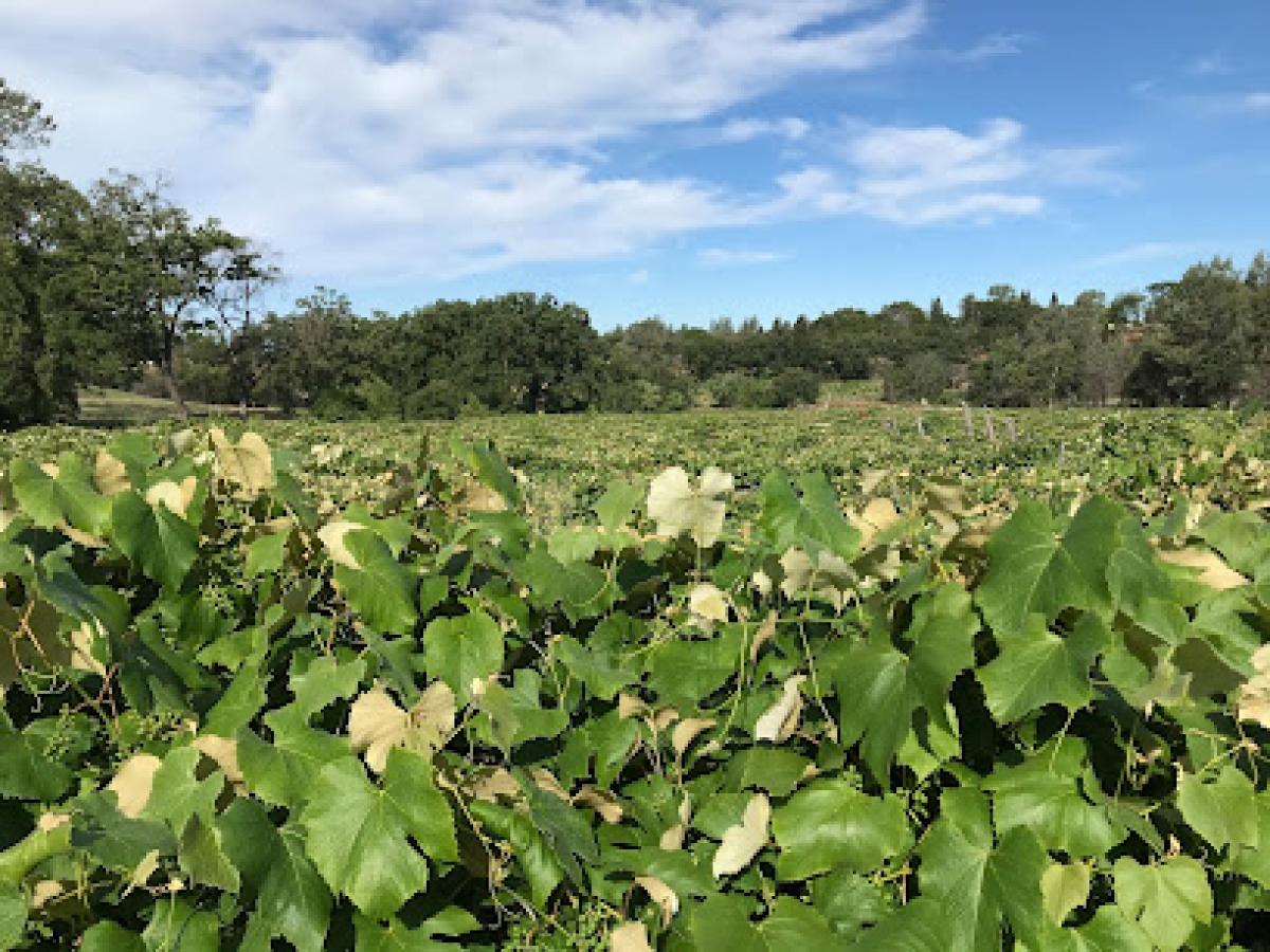 Heinke's Farm & Nursery
