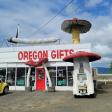Magic Mushroom/Oregon Gifts