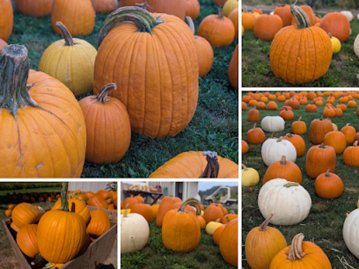 ME & Moore and Evenfall