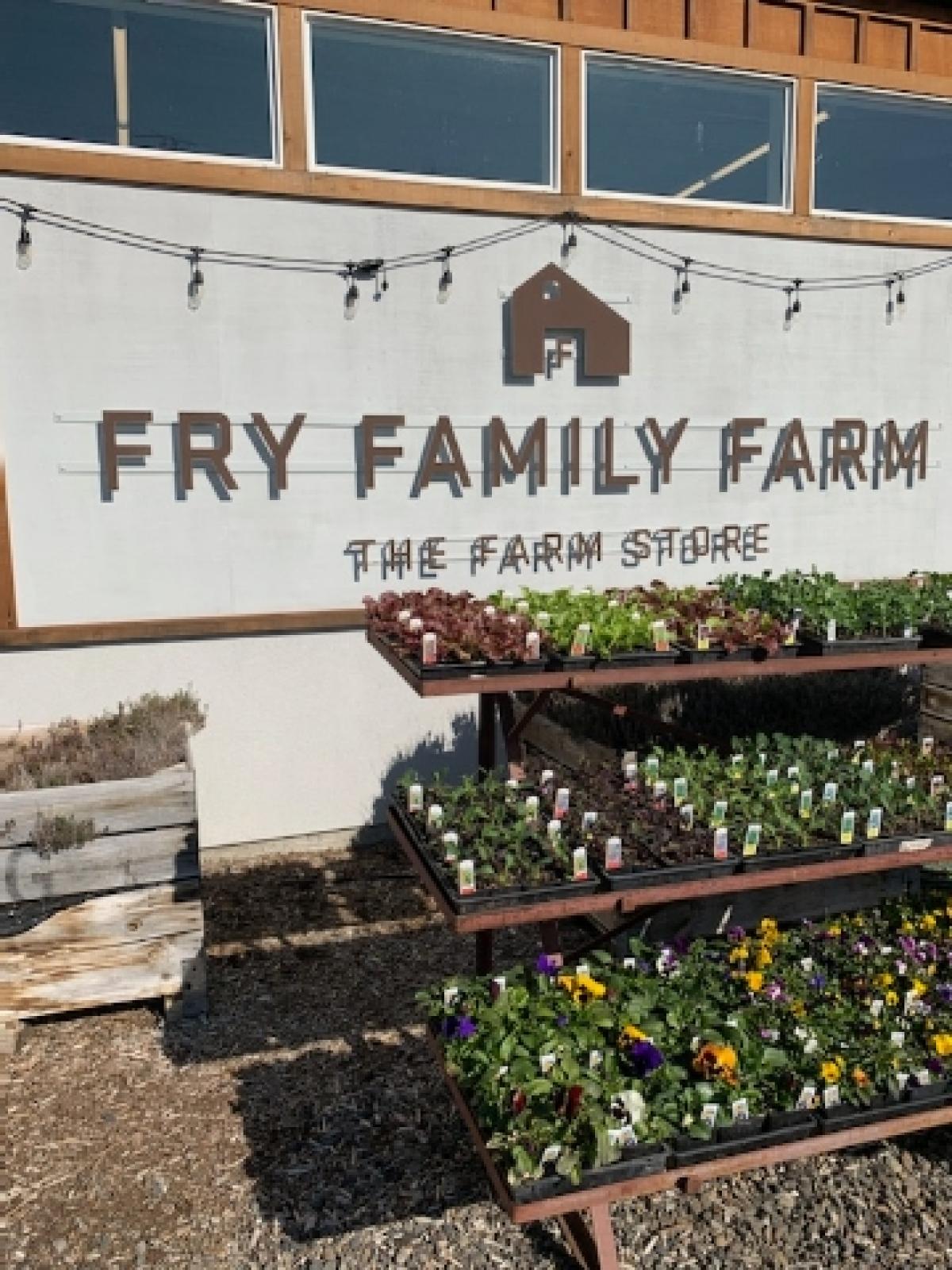 Fry Family Farm Store