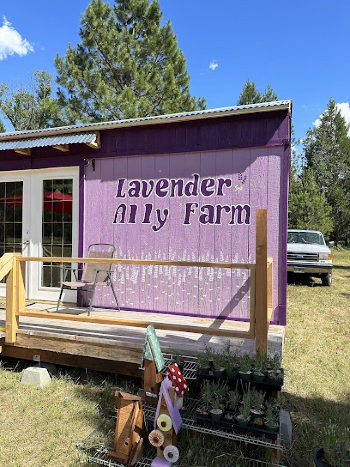 Lavender Ally Farm