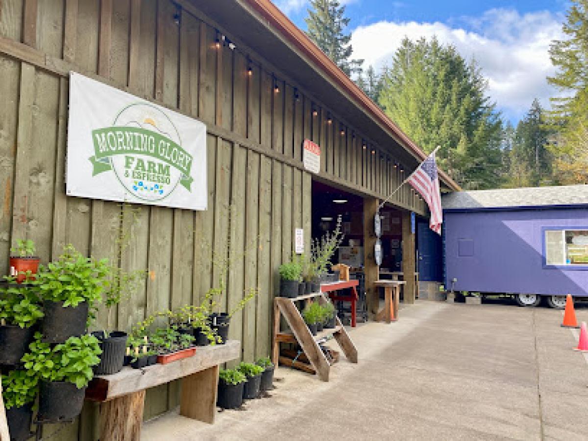 Morning Glory Farm & Espresso