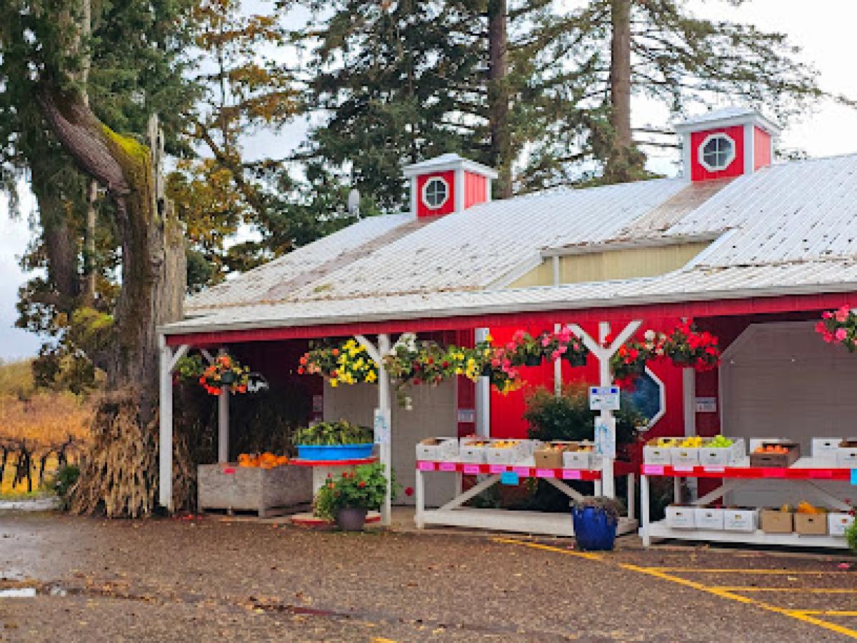 Bush's Fern View Farms
