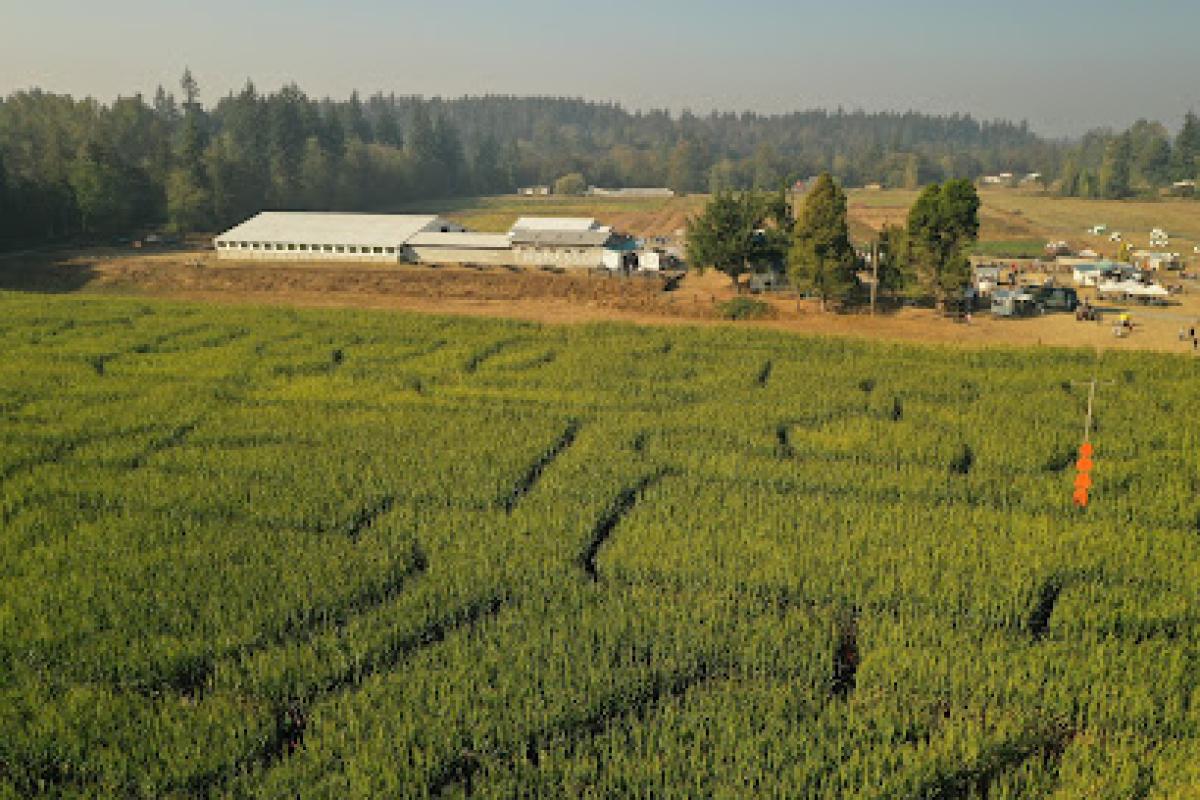 Thomasson Family Farm