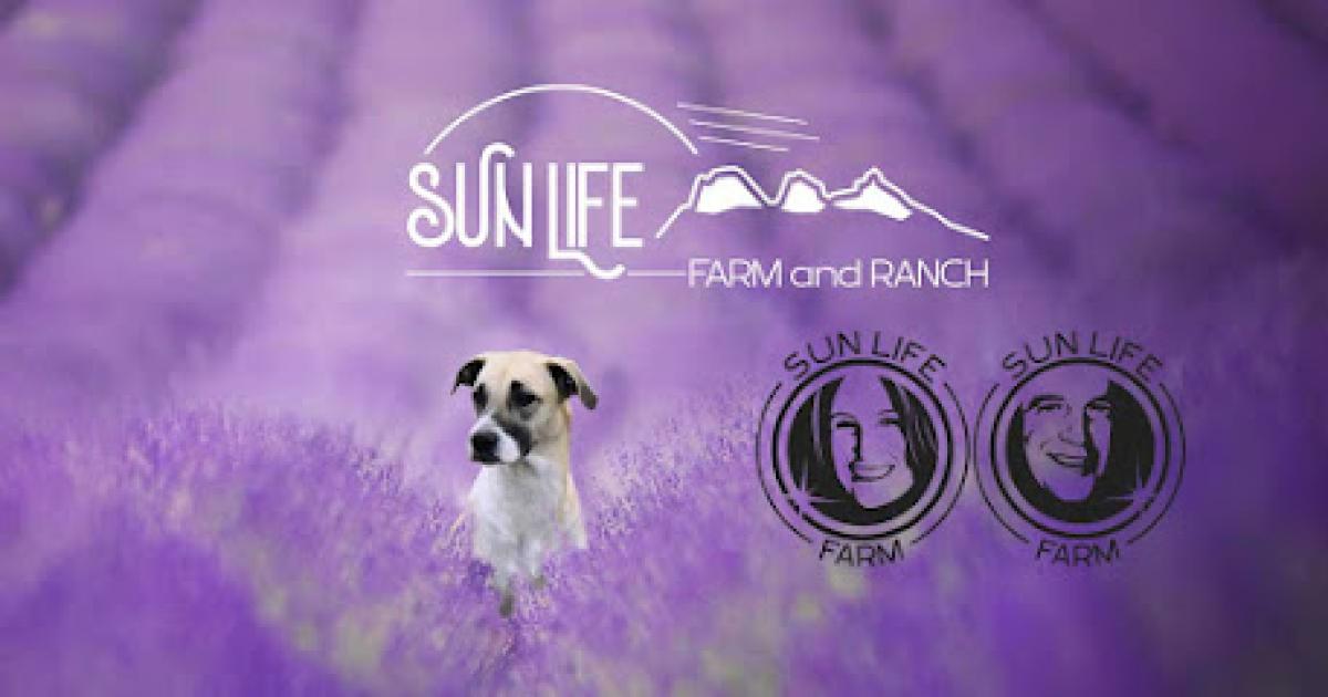 SunLife Farm