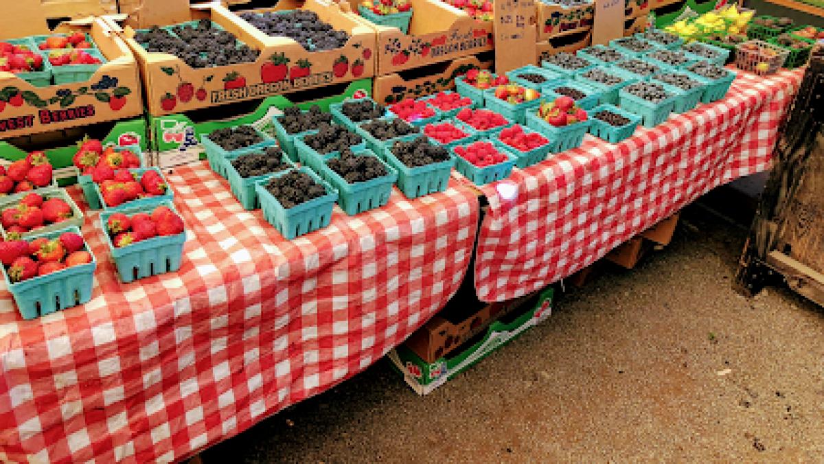 The Vegetable Man Produce