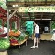 Brattleboro Outdoor/Summer Farmer's Market