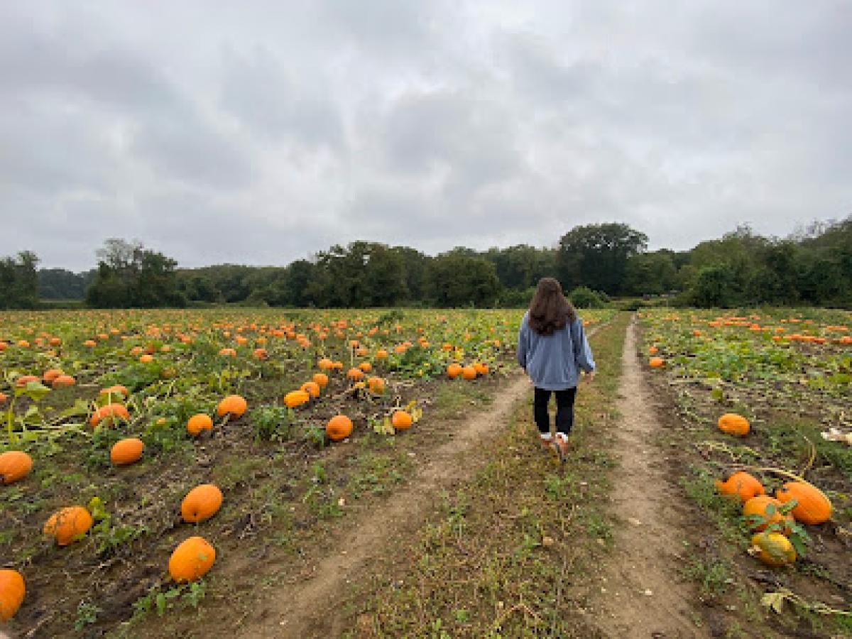 Spring Hill Sugarhouse