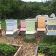 White Mountain Apiary & Bee Farm