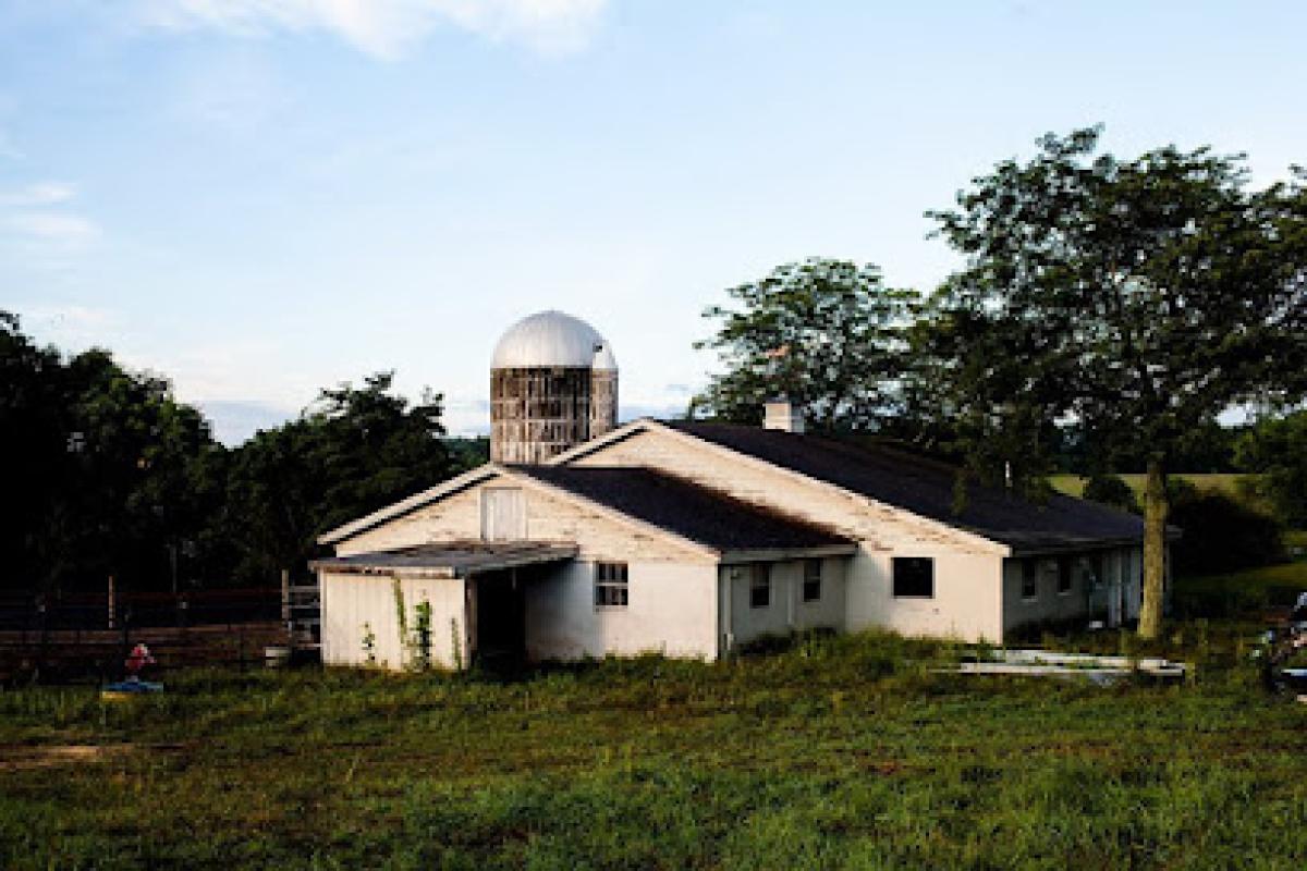 Clover Luck Farm Dairy