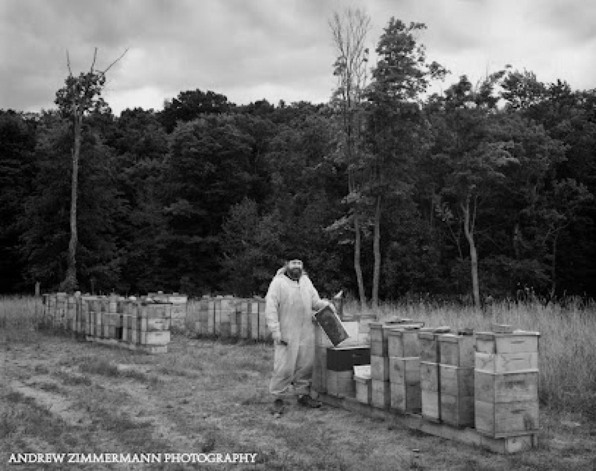 Bedillion Honey Farm