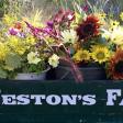 Weston's Farm & Market
