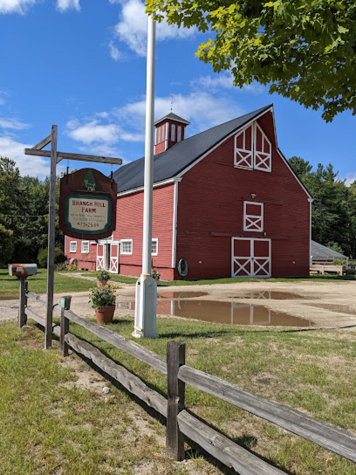 Branch Hill Farm