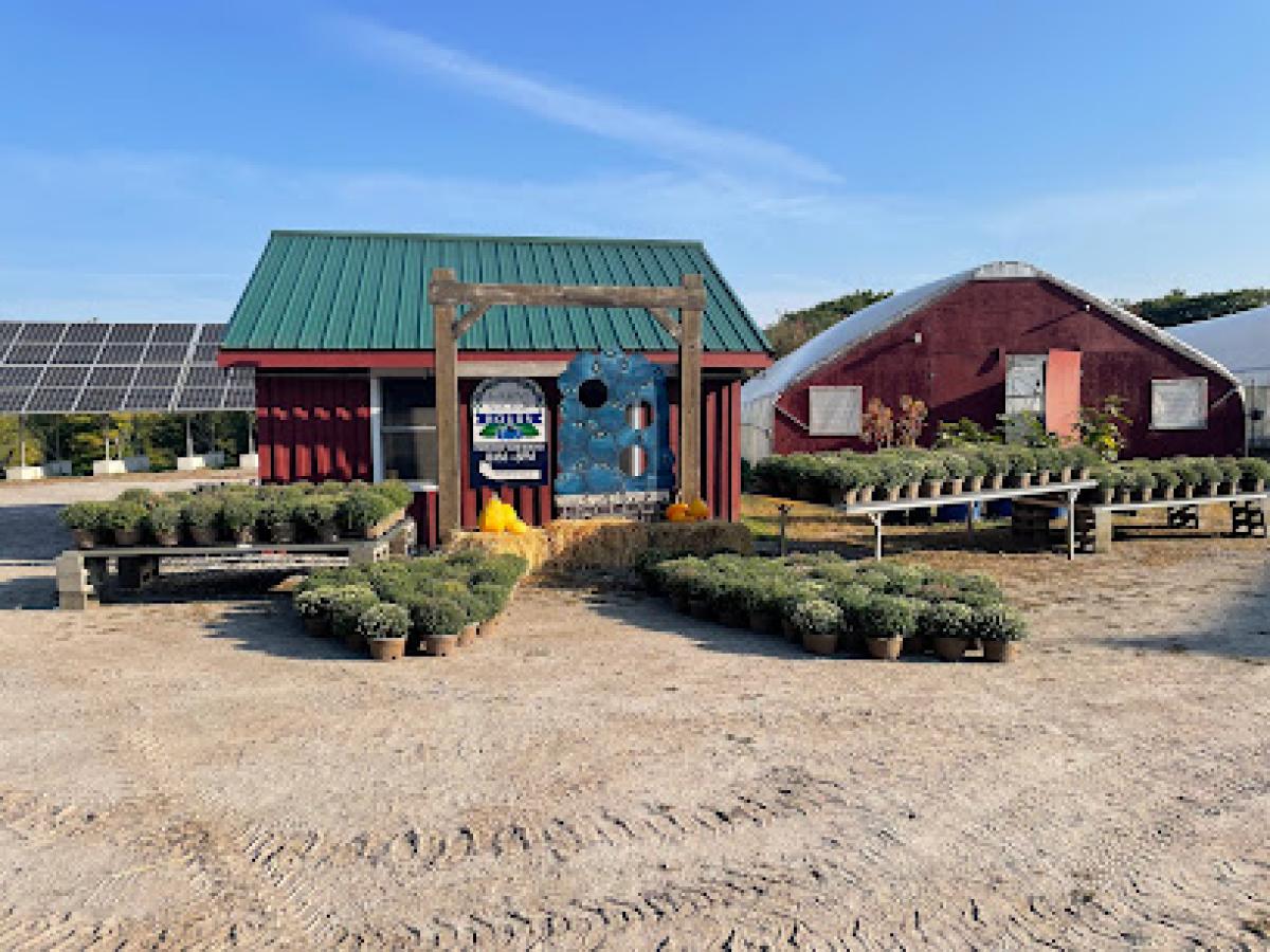 Bascom Road Blueberry Farm