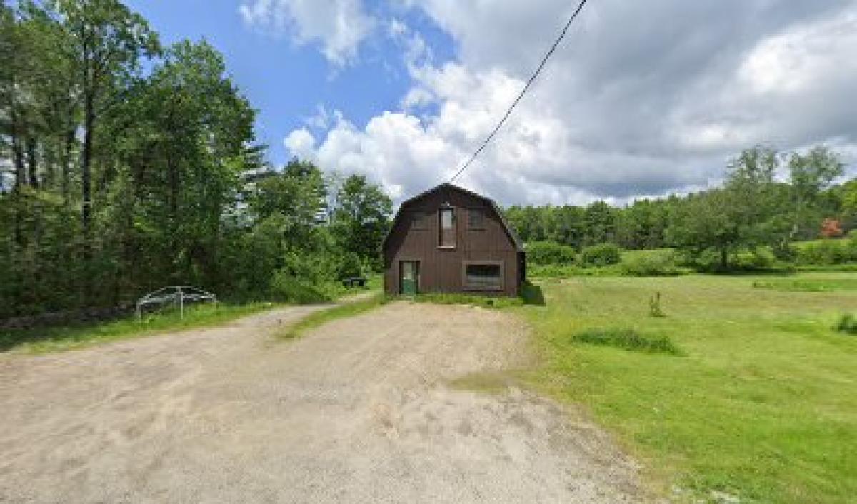 The New Hampshire Honey Bee