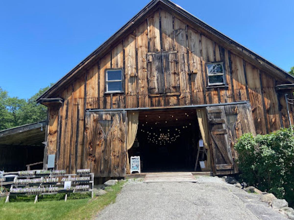 Lavender Fields at Pumpkin Blossom Farm