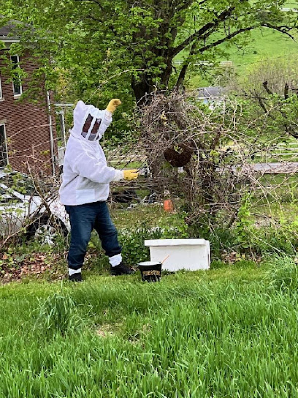 BeeHappy BeeAlive LLC