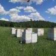 Fiddler's Run Apiaries