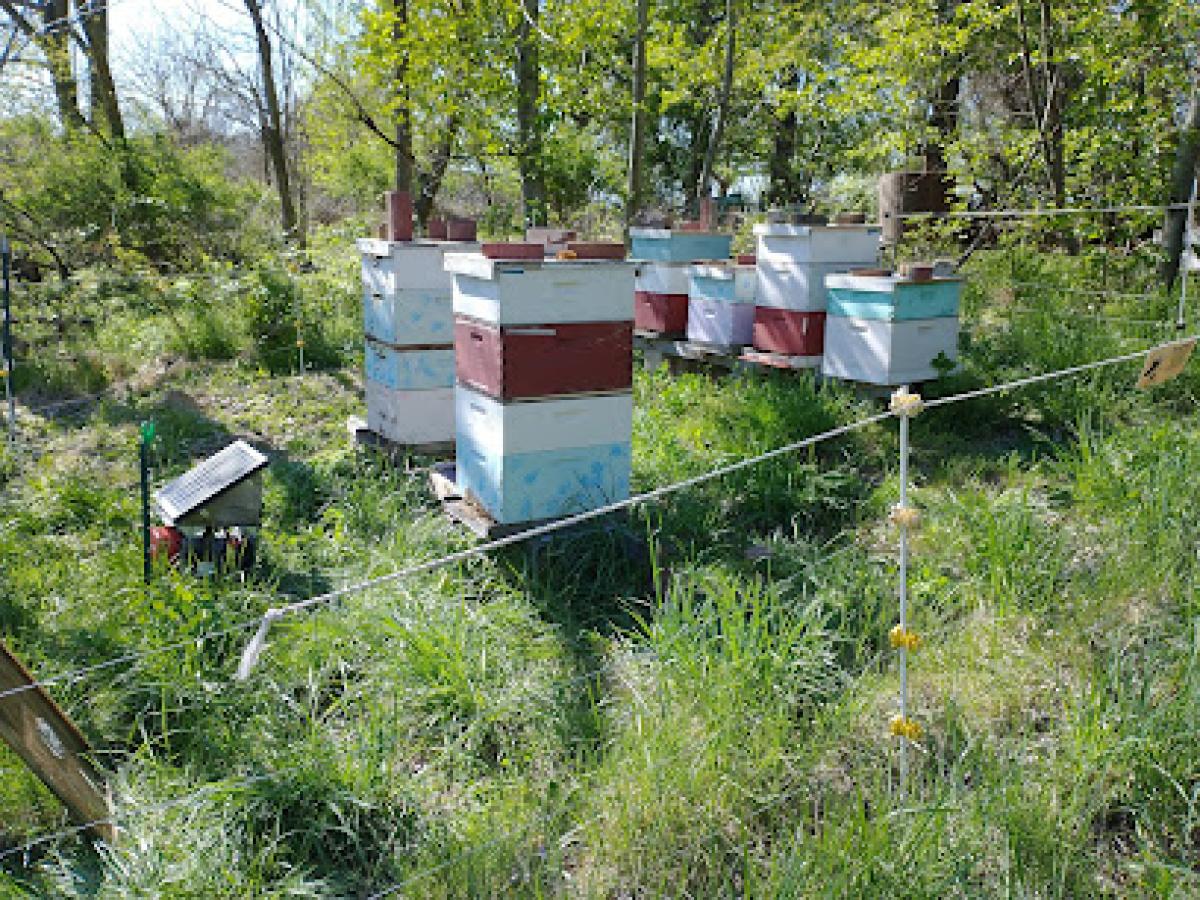 Dave's Raw Honey Self-Serve Shop at Owens Farm