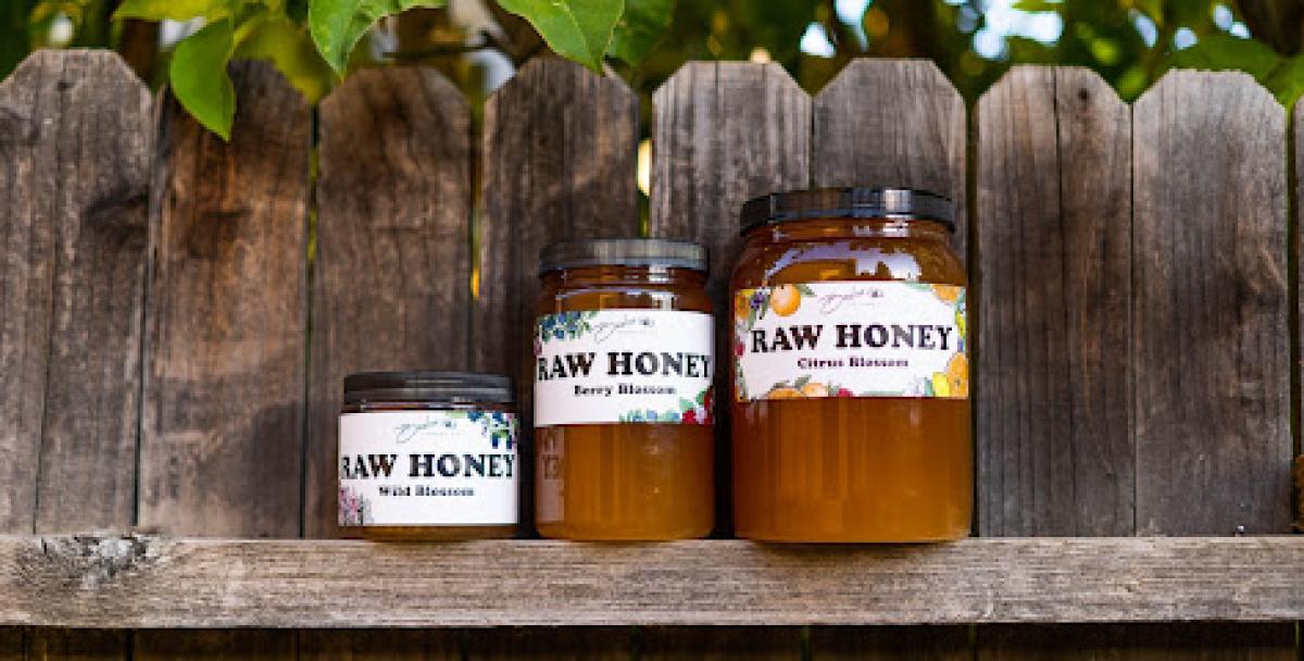 Beeline Organic Honey