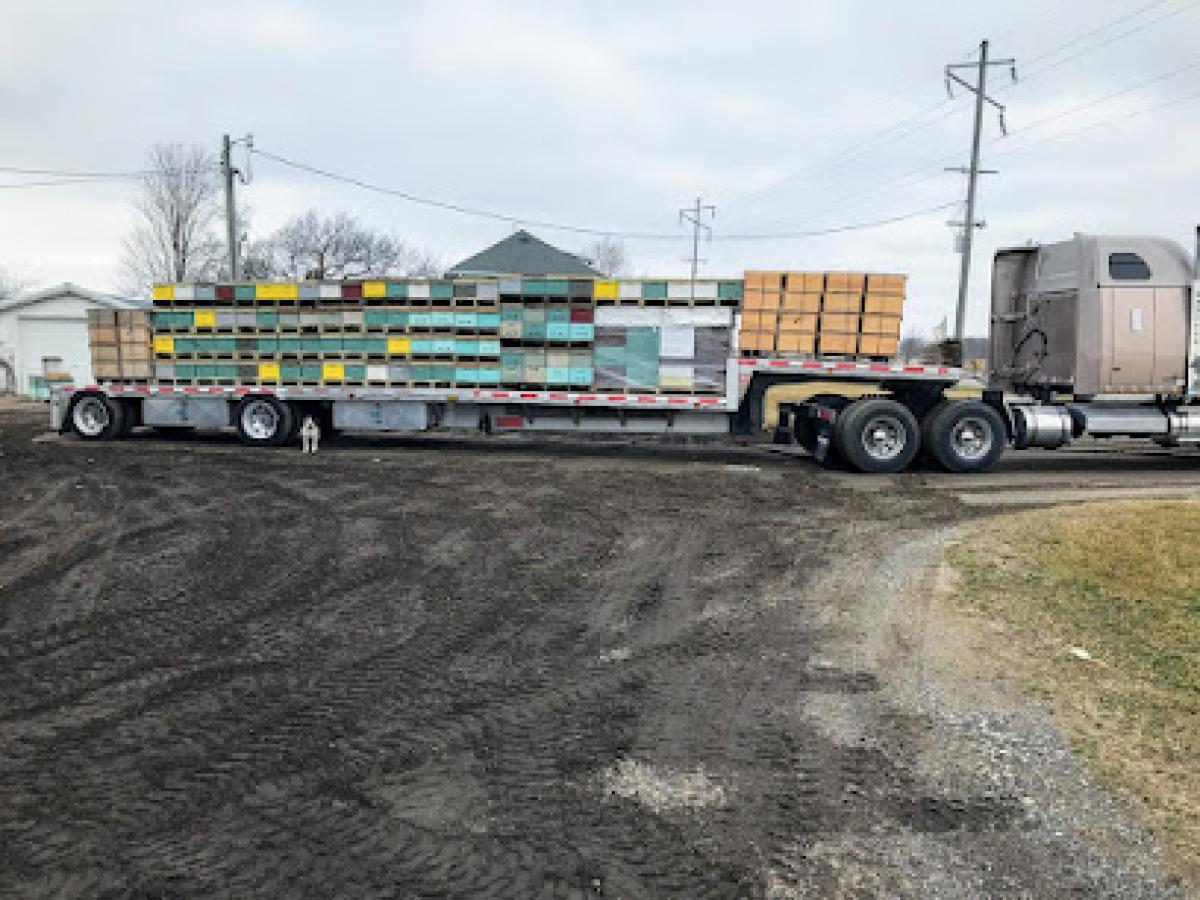 Mitchell's Honey Company