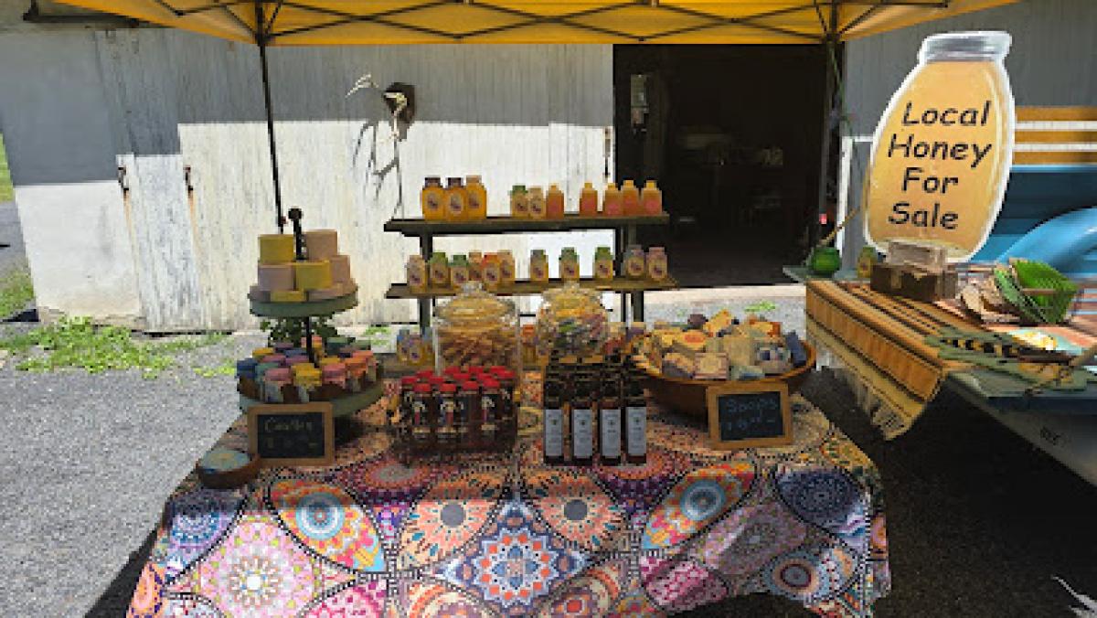 Mandy the Bee Charmer, LLC