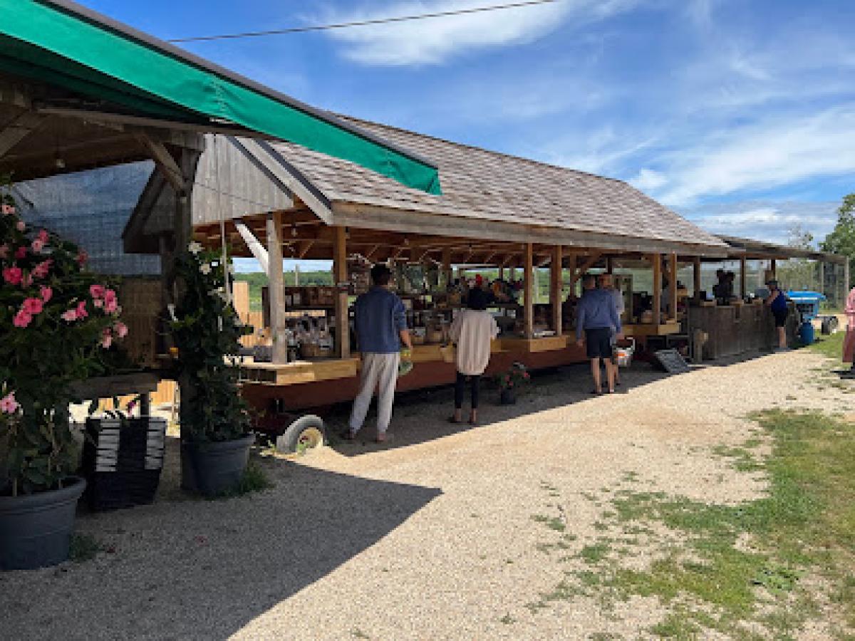 Balsam Farm Stand