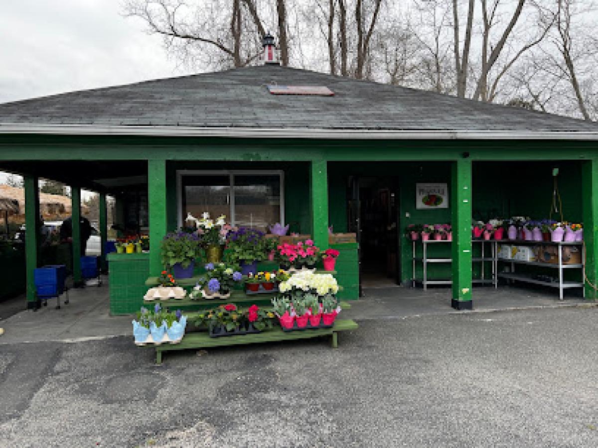 Hampton Fruit & Vegetable