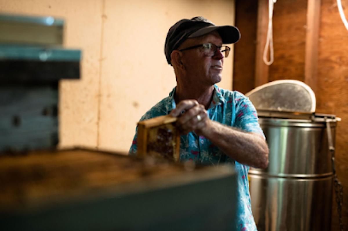 Promiseland Apiaries