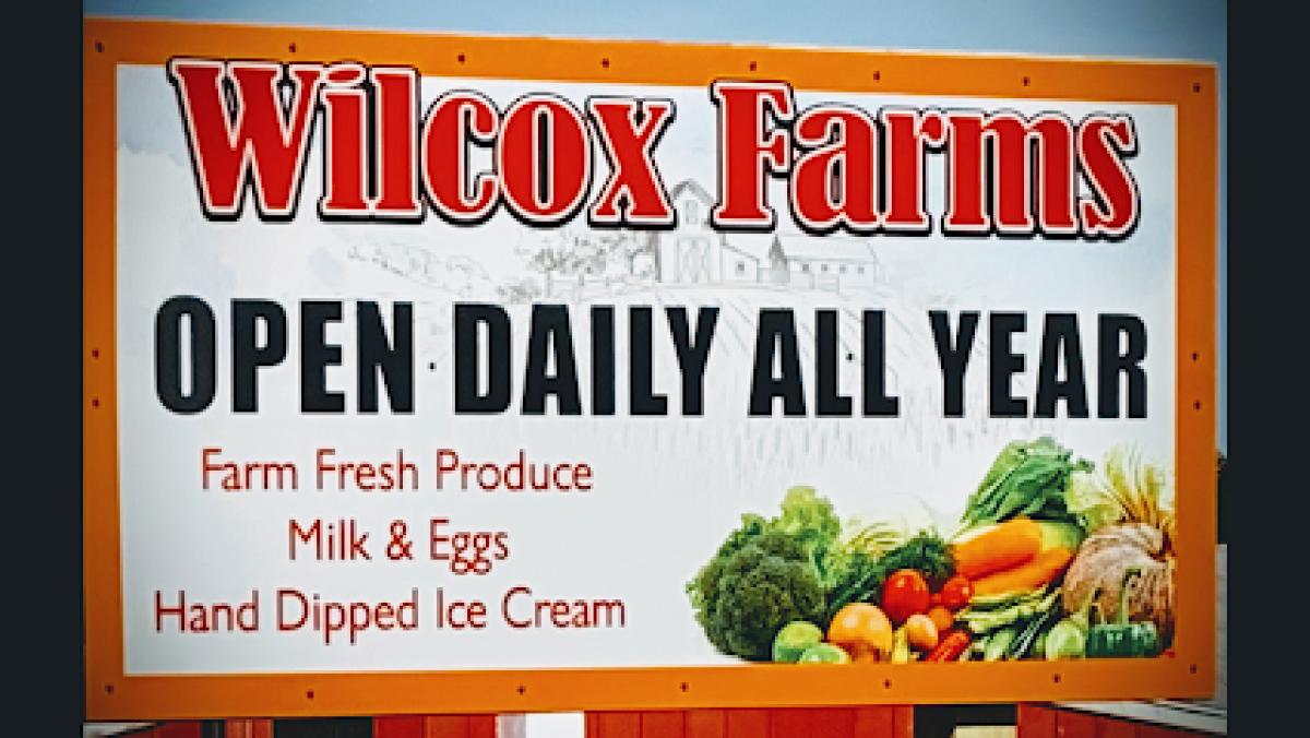 Wilcox Farms