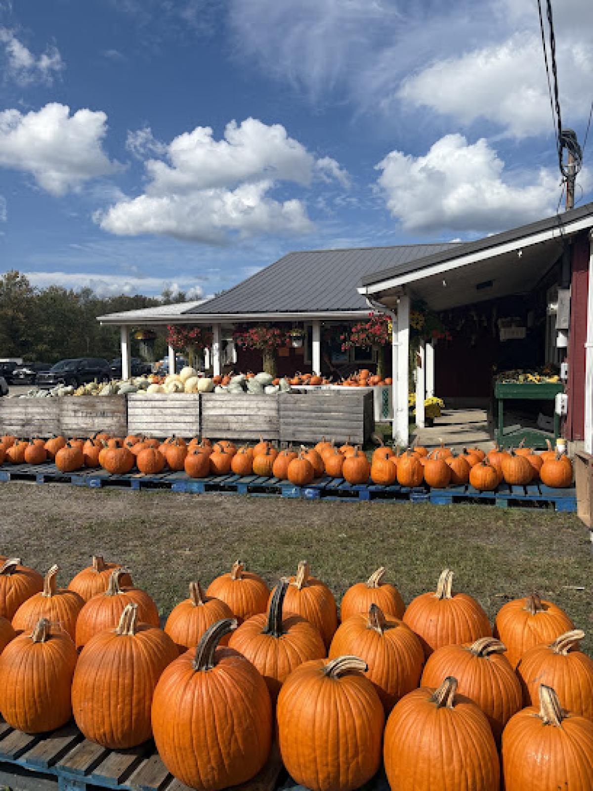 Miller's Orchards Farm Market
