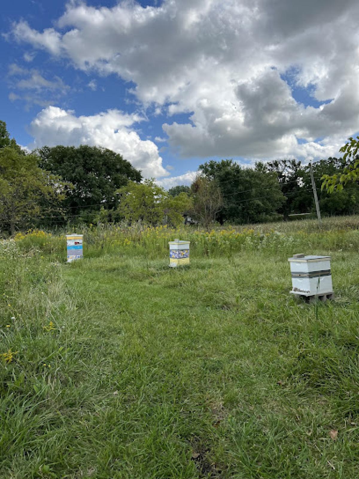 Three Bees Honey Farms LLC