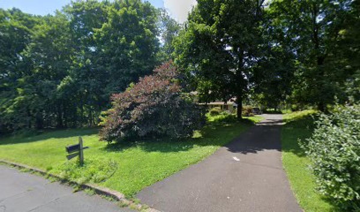 Buckingham Valley Honey