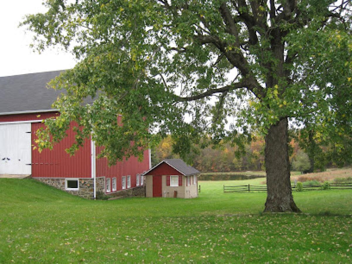 Lumina Honey & Hive Products