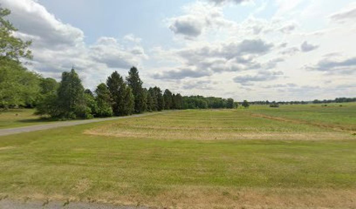 Hat Trick Honey Bee Yard 2/3